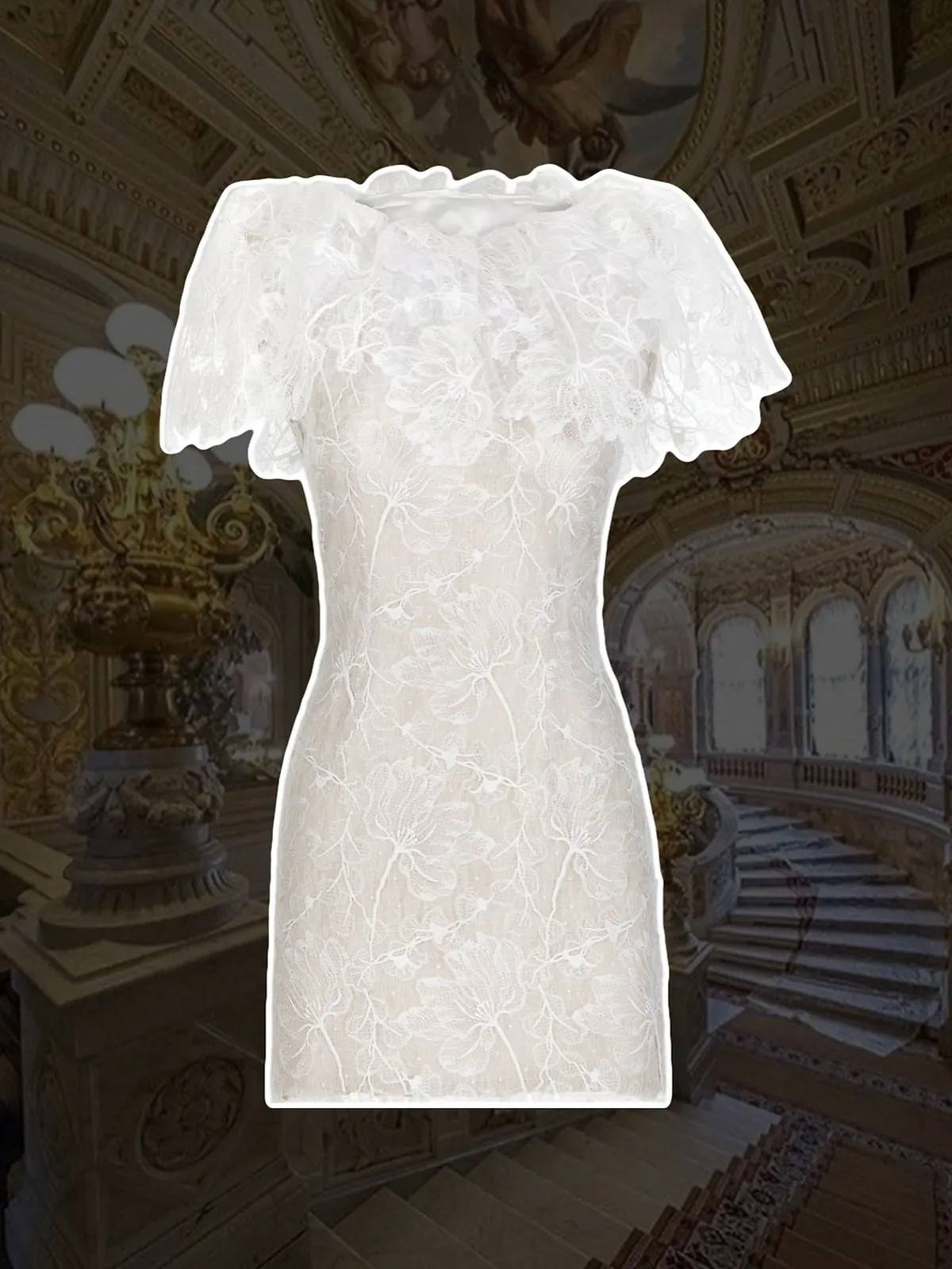 Dorcas