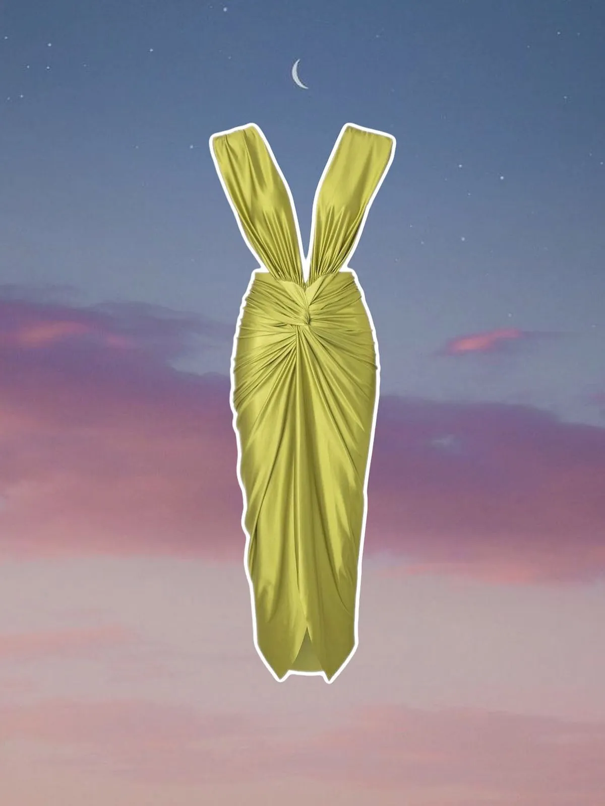 Gladiolus