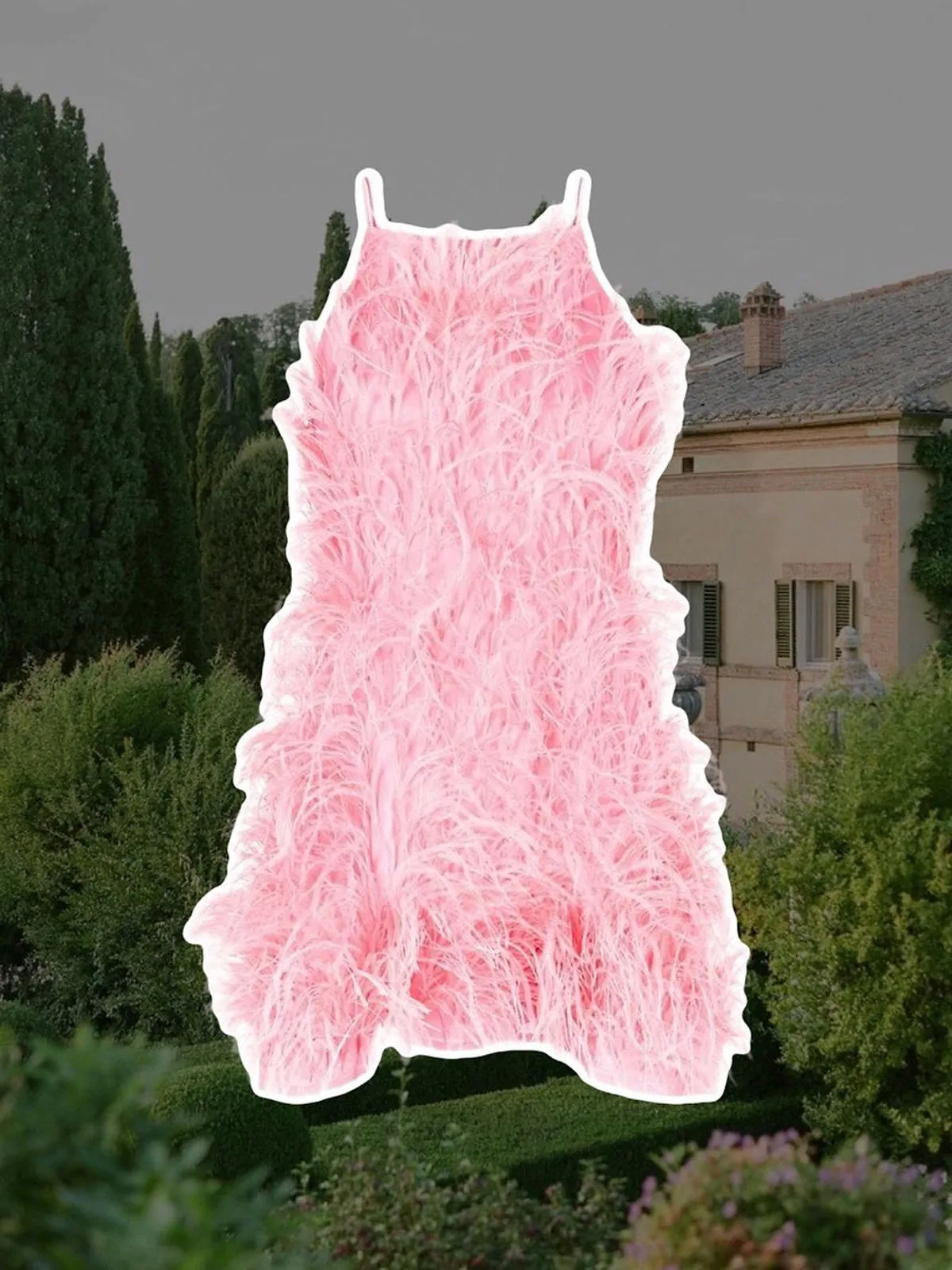 Matryona